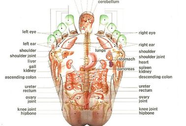 Tourmaline Heart Shiatsu Foot Massager For Acupuncture Points , Reflexology